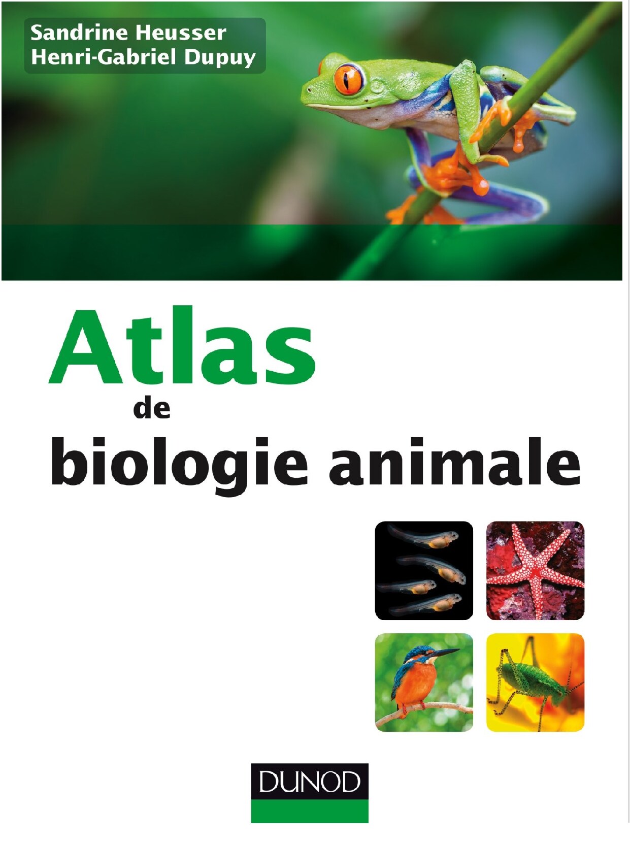 http://avxhome.se/blogs/ALGEROIS