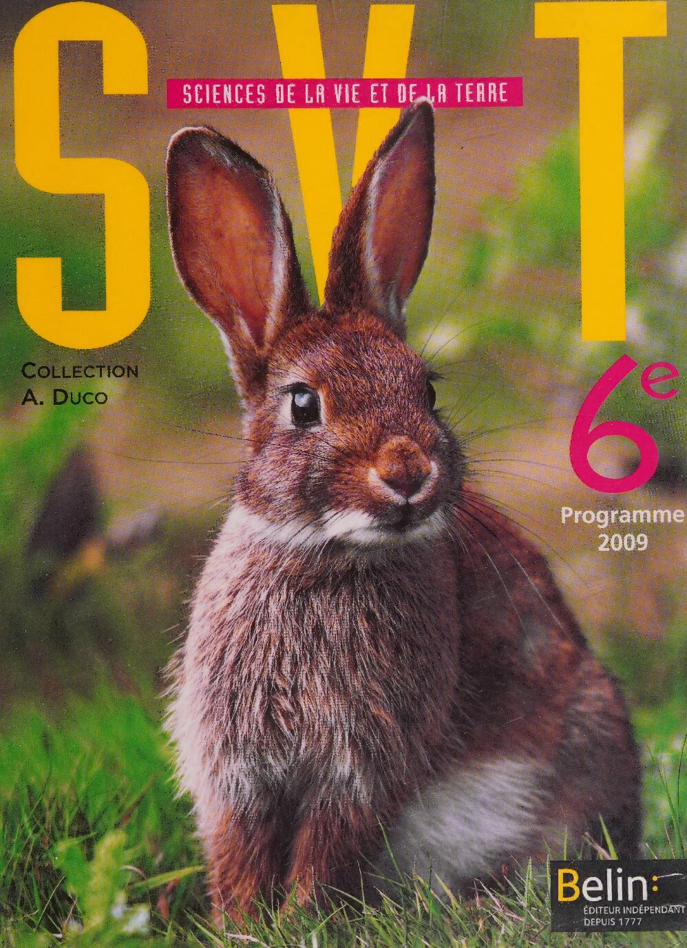 SVT