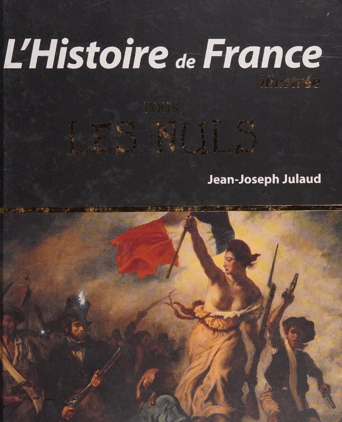 L'Histoire de France Illustrée pour les Nuls, 2e édition (French Edition)