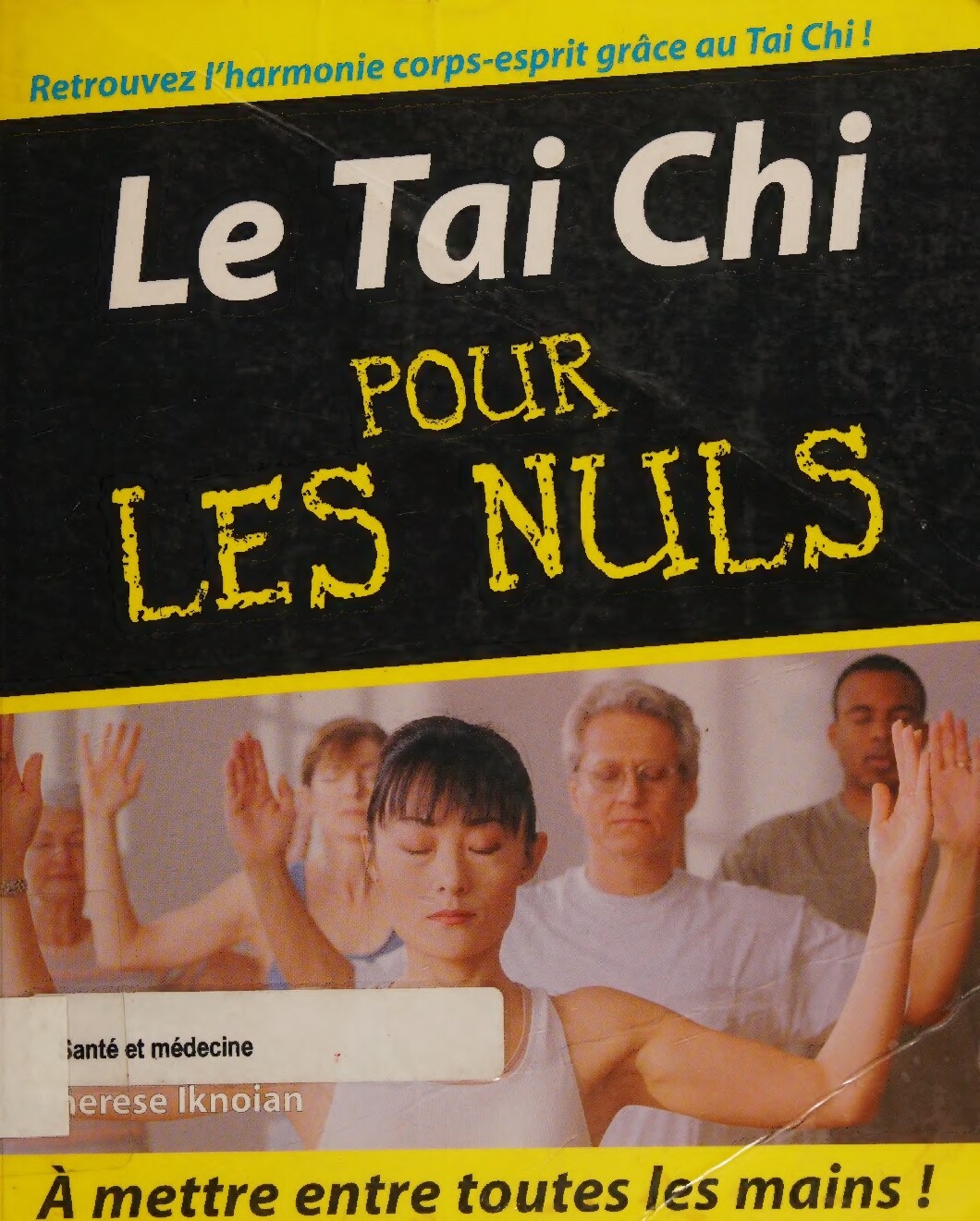 Tai Chi Pour les nuls