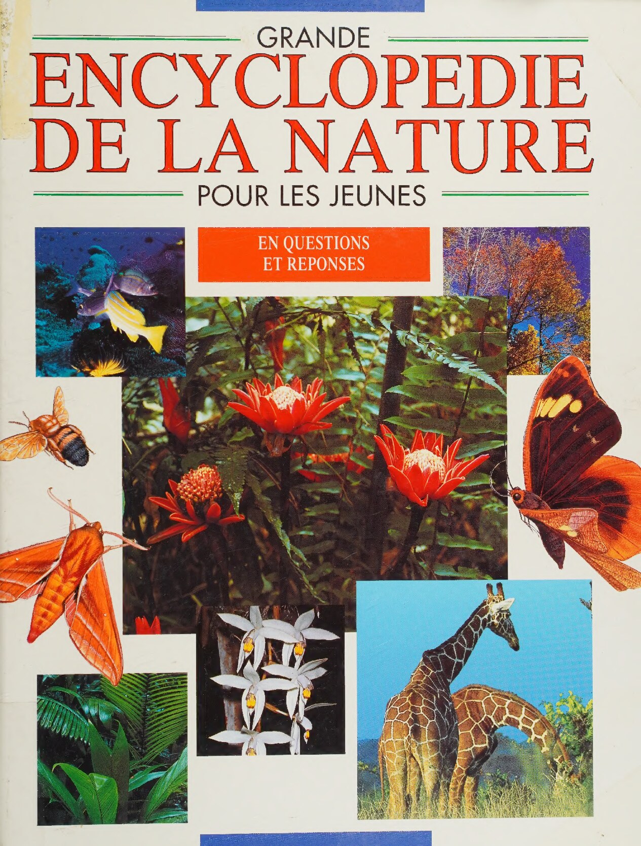 GRANDE ENCYCLOPEDIE DE LA NATURE POUR LES JEUNES EN QUESTIONS ET REPONSES