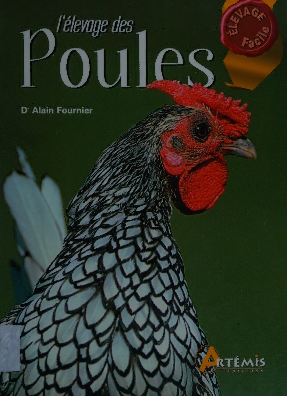 l'elevage des poules