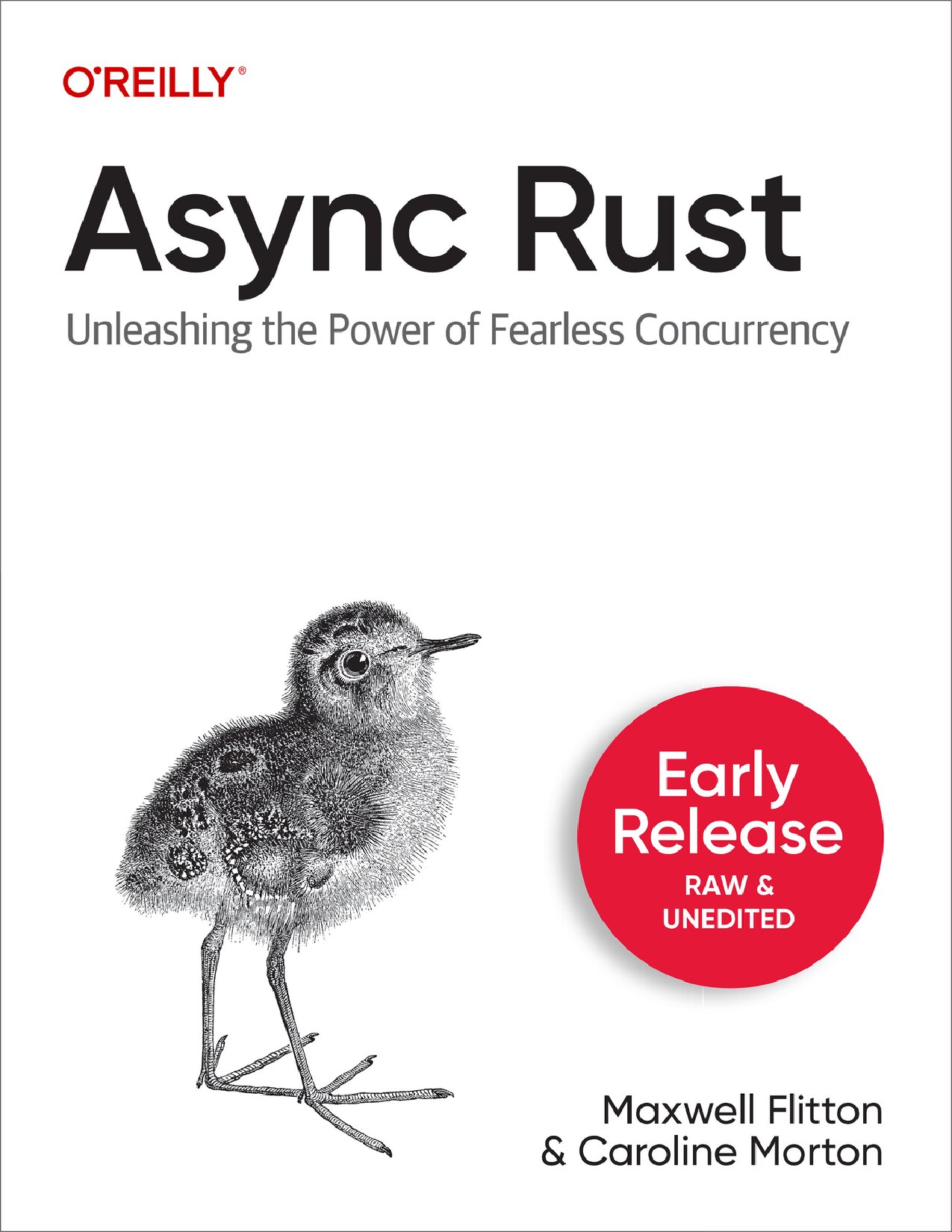 Async Rust (for adr viser)
