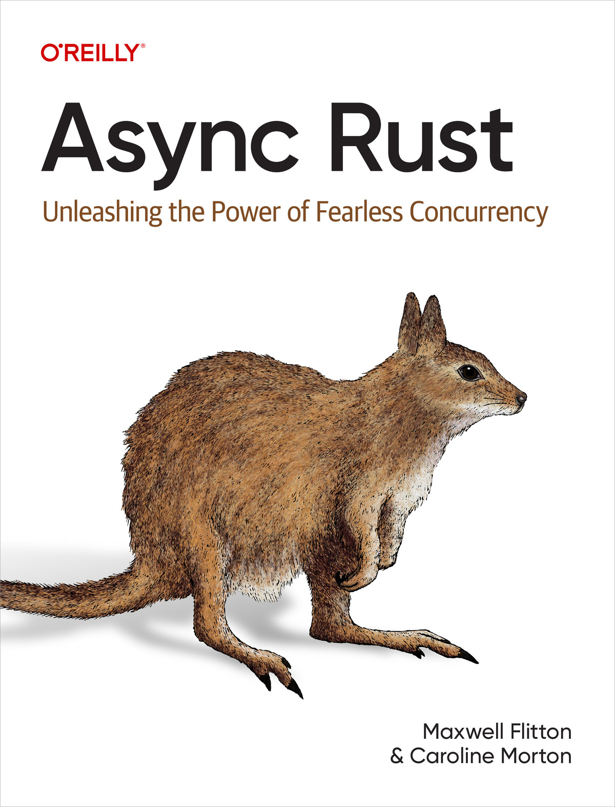 Async Rust (for True Epub)