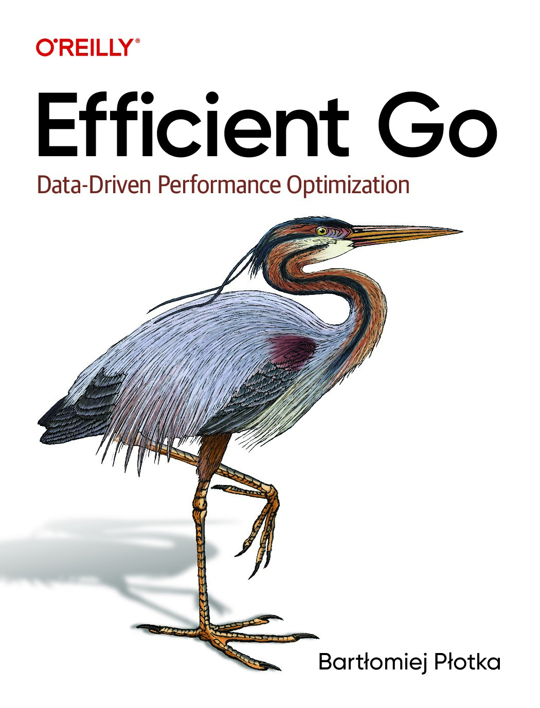 Efficient Go