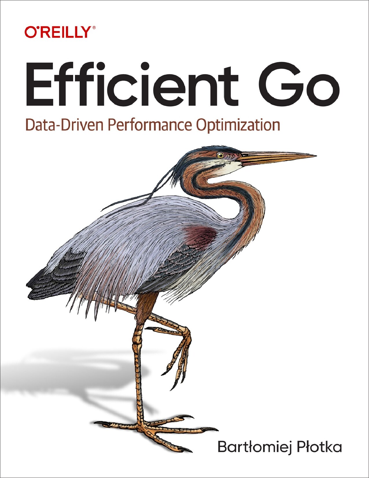 Efficient Go (Bartlomiej Plotka) (Z-Library) - Zamzar