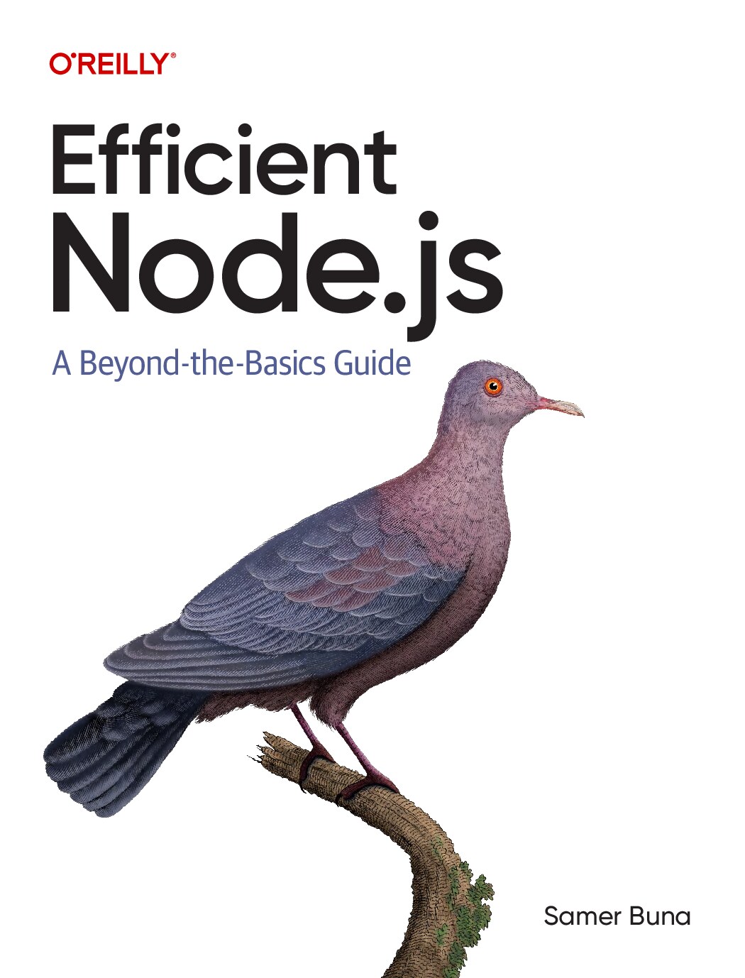 Efficient Node.js A Beyond-the-Basics Guide (Samer Buna) (Z-Library) - Samer Buna