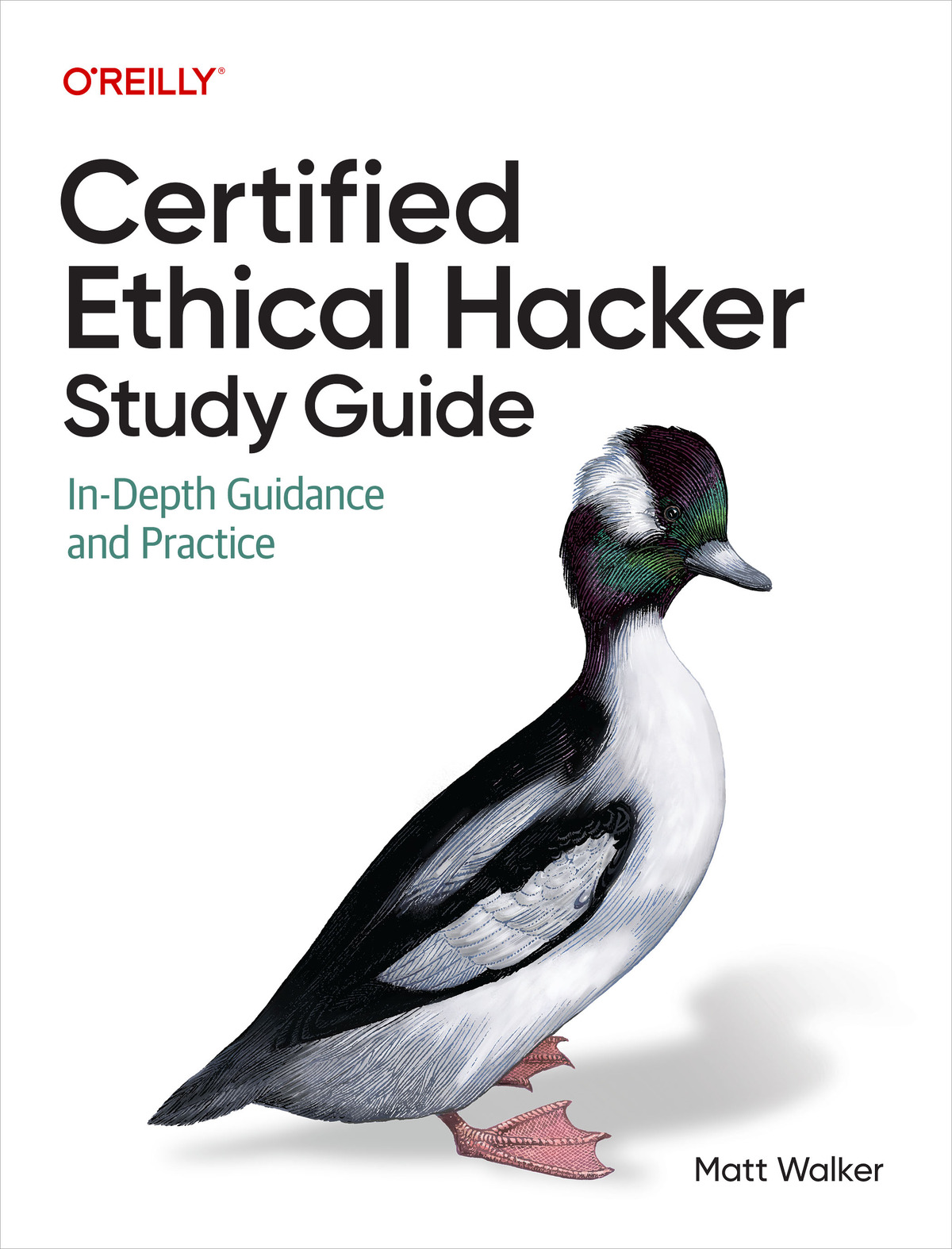 Certified Ethical Hacker (CEH) Study Guide (for True Epub)