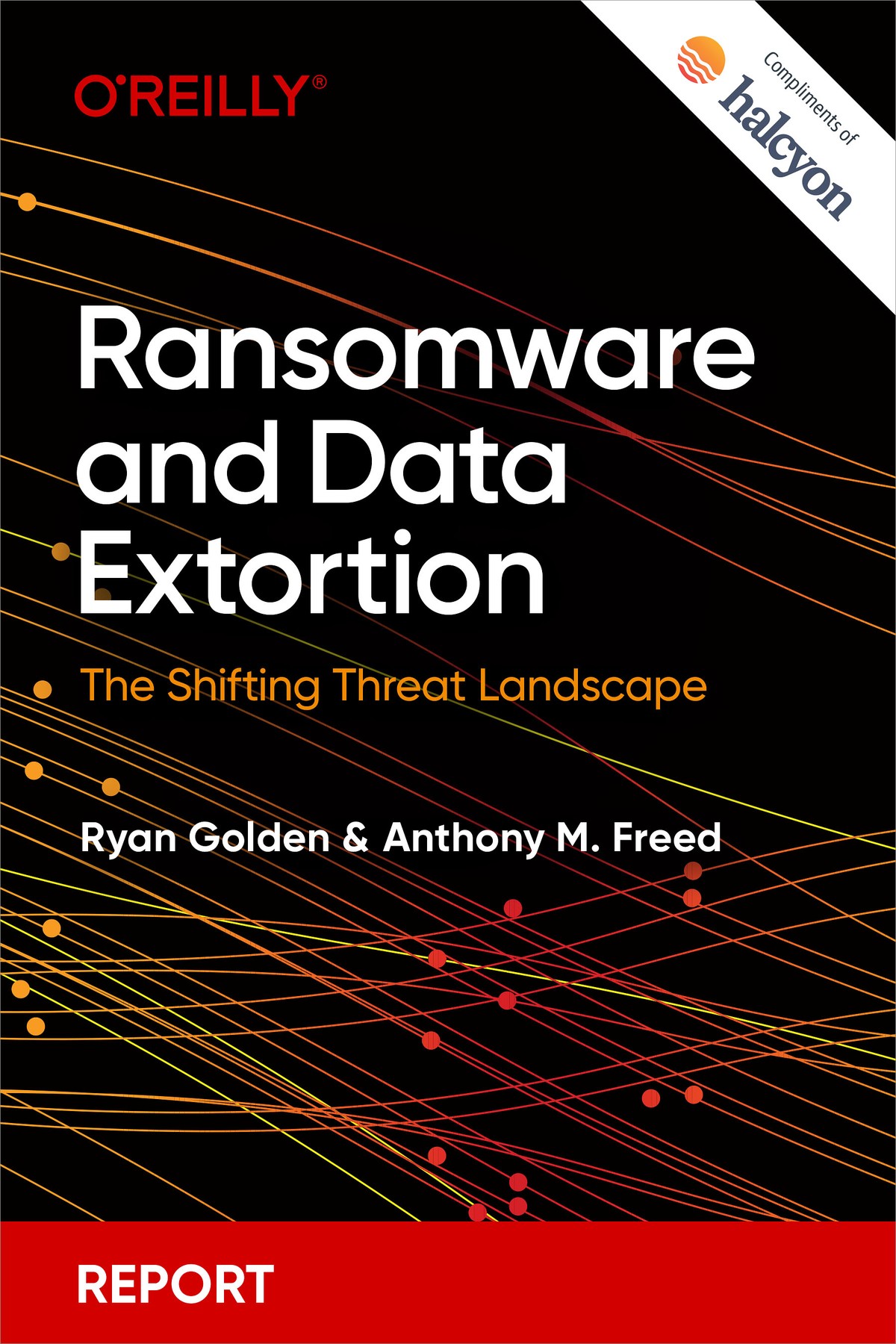 Ransomware and Data Extortion